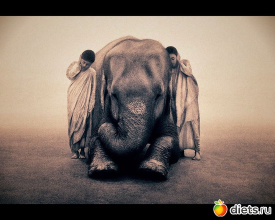 9 фото: "Ashes and Snow" / "Пепел и снег" by Gregory Colbert