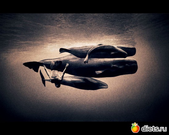 14 фото: "Ashes and Snow" / "Пепел и снег" by Gregory Colbert