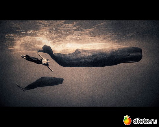 15 фото: "Ashes and Snow" / "Пепел и снег" by Gregory Colbert