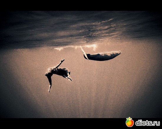 20 фото: "Ashes and Snow" / "Пепел и снег" by Gregory Colbert