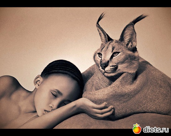 22 : &quot;Ashes and Snow&quot; / &quot;  &quot; by Gregory Colbert