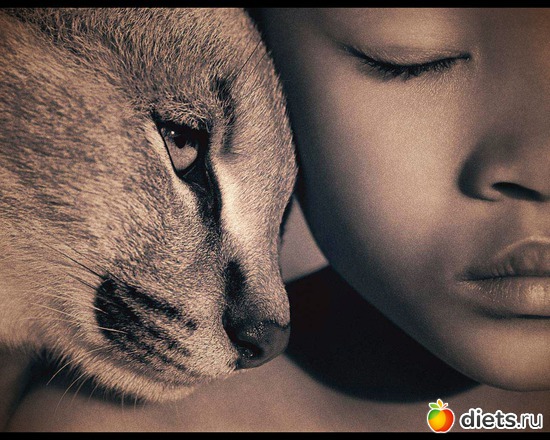 23 фото: "Ashes and Snow" / "Пепел и снег" by Gregory Colbert