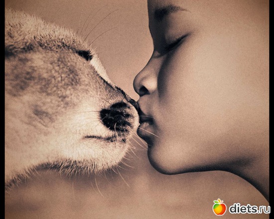 25 фото: "Ashes and Snow" / "Пепел и снег" by Gregory Colbert