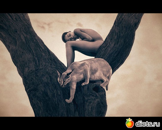 30 фото: "Ashes and Snow" / "Пепел и снег" by Gregory Colbert