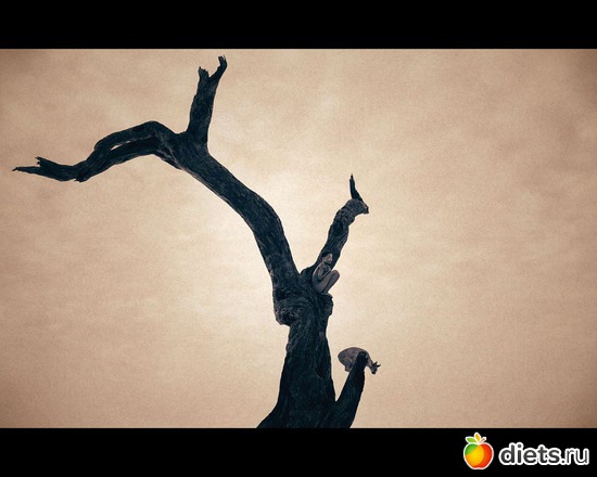 33 фото: "Ashes and Snow" / "Пепел и снег" by Gregory Colbert