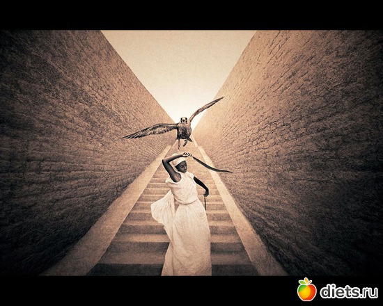 39 фото: "Ashes and Snow" / "Пепел и снег" by Gregory Colbert