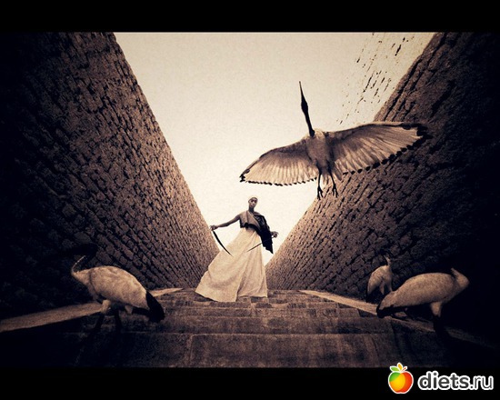 41 фото: "Ashes and Snow" / "Пепел и снег" by Gregory Colbert