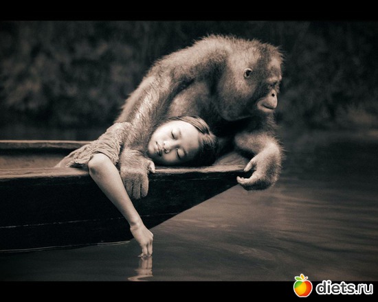 45 фото: "Ashes and Snow" / "Пепел и снег" by Gregory Colbert