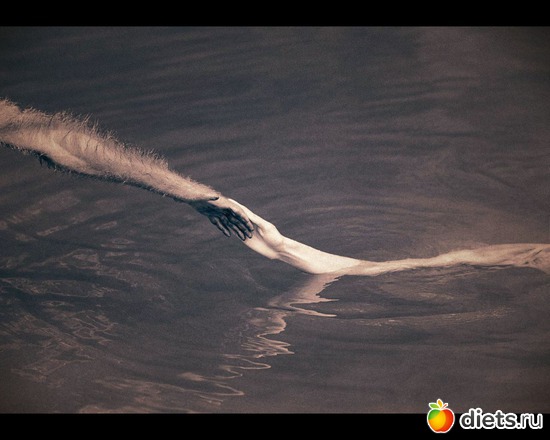 48 фото: "Ashes and Snow" / "Пепел и снег" by Gregory Colbert