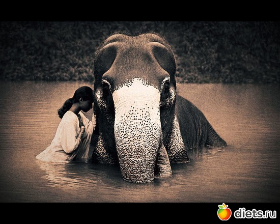 53 фото: "Ashes and Snow" / "Пепел и снег" by Gregory Colbert