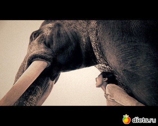 55 фото: "Ashes and Snow" / "Пепел и снег" by Gregory Colbert