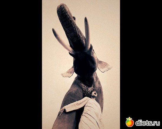 56 фото: "Ashes and Snow" / "Пепел и снег" by Gregory Colbert