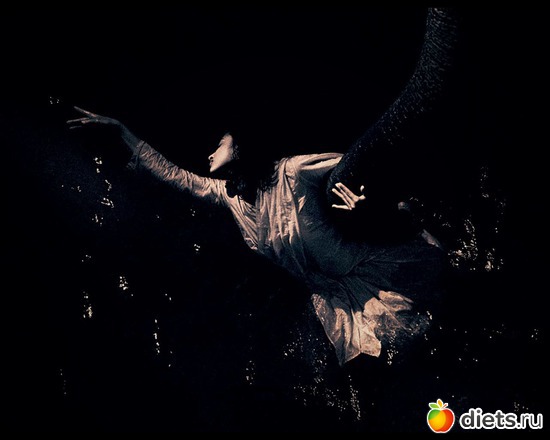 63 фото: "Ashes and Snow" / "Пепел и снег" by Gregory Colbert