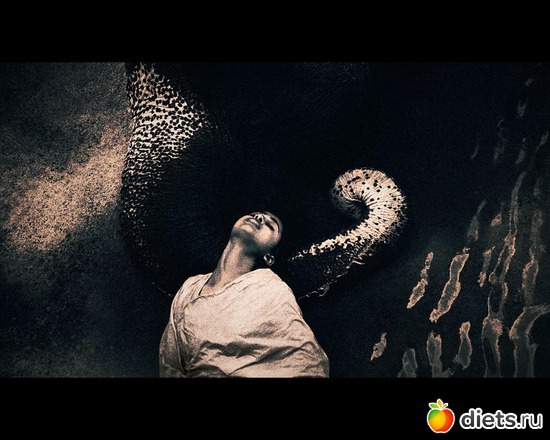 66 фото: "Ashes and Snow" / "Пепел и снег" by Gregory Colbert