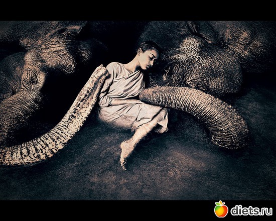 69 фото: "Ashes and Snow" / "Пепел и снег" by Gregory Colbert