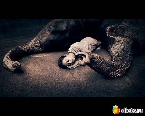 70 фото: "Ashes and Snow" / "Пепел и снег" by Gregory Colbert