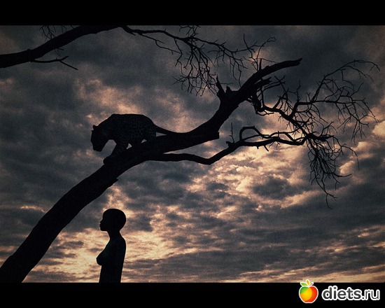 74 фото: "Ashes and Snow" / "Пепел и снег" by Gregory Colbert