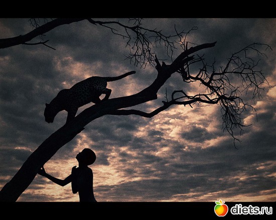 75 фото: "Ashes and Snow" / "Пепел и снег" by Gregory Colbert