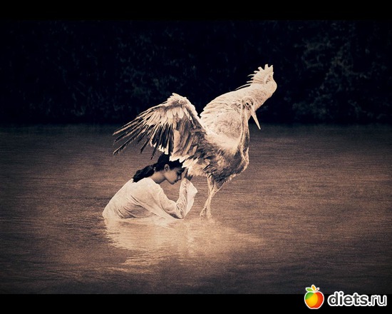 81 фото: "Ashes and Snow" / "Пепел и снег" by Gregory Colbert