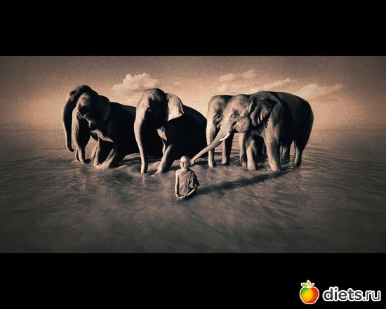 96 фото: "Ashes and Snow" / "Пепел и снег" by Gregory Colbert