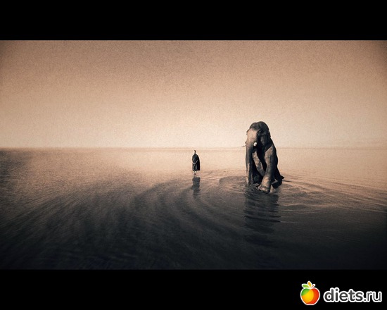 98 фото: "Ashes and Snow" / "Пепел и снег" by Gregory Colbert