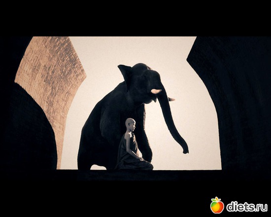 100 фото: "Ashes and Snow" / "Пепел и снег" by Gregory Colbert