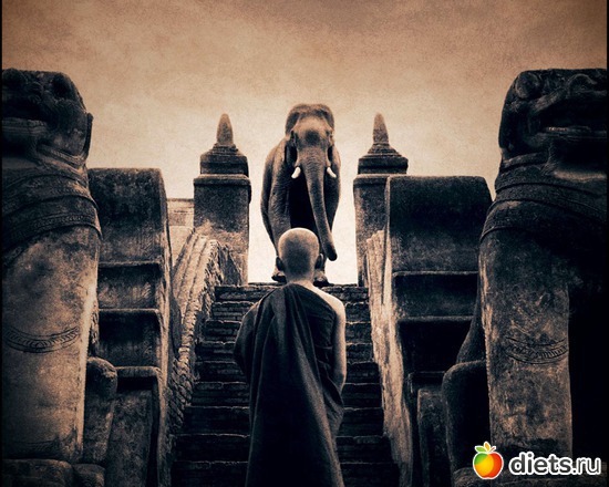 102 фото: "Ashes and Snow" / "Пепел и снег" by Gregory Colbert