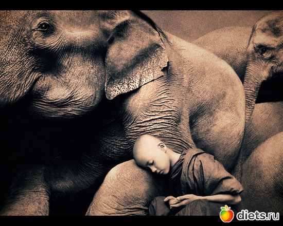 106 фото: "Ashes and Snow" / "Пепел и снег" by Gregory Colbert