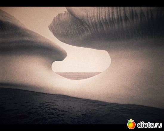 108 фото: "Ashes and Snow" / "Пепел и снег" by Gregory Colbert