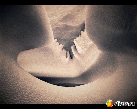 110 фото: "Ashes and Snow" / "Пепел и снег" by Gregory Colbert