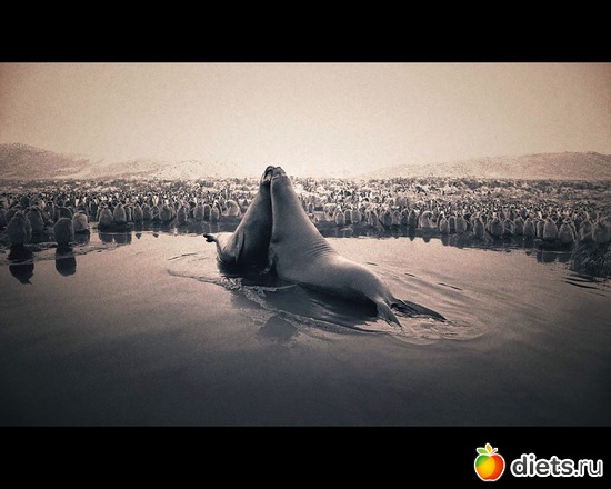 112 фото: "Ashes and Snow" / "Пепел и снег" by Gregory Colbert