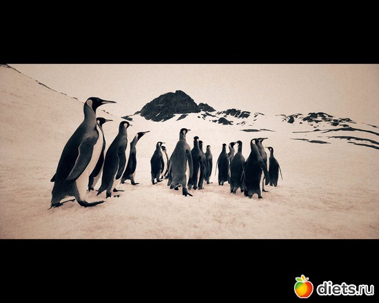 114 фото: "Ashes and Snow" / "Пепел и снег" by Gregory Colbert