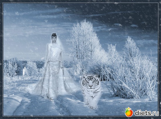 6 фото: Зимняя сказка