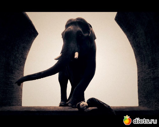 140 фото: "Ashes and Snow" / "Пепел и снег" by Gregory Colbert