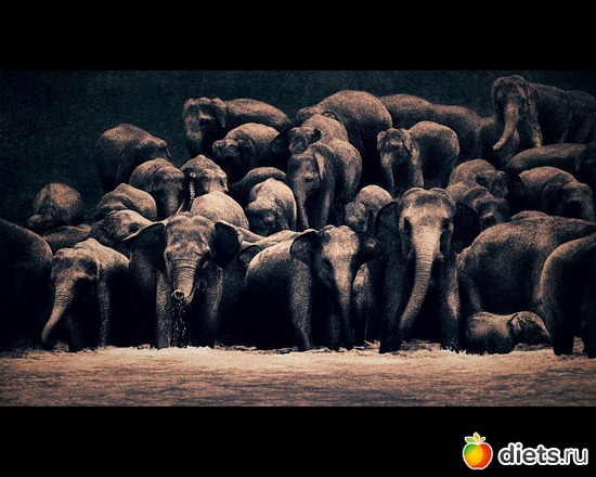 143 фото: "Ashes and Snow" / "Пепел и снег" by Gregory Colbert