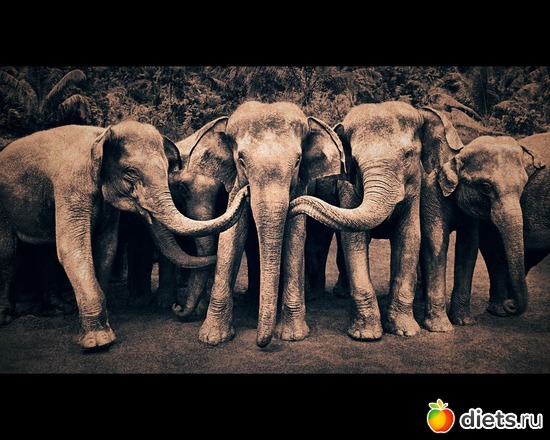 144 фото: "Ashes and Snow" / "Пепел и снег" by Gregory Colbert