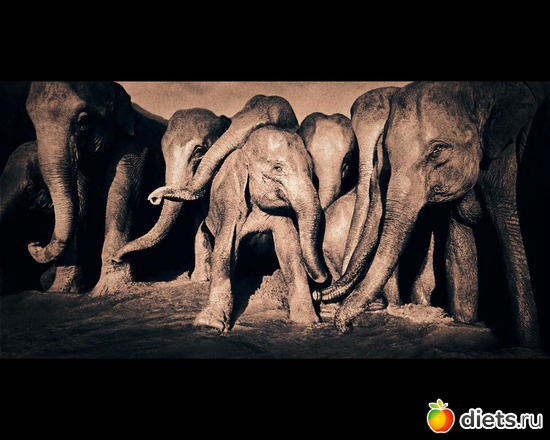 146 фото: "Ashes and Snow" / "Пепел и снег" by Gregory Colbert