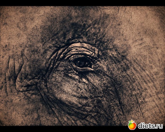 148 фото: "Ashes and Snow" / "Пепел и снег" by Gregory Colbert