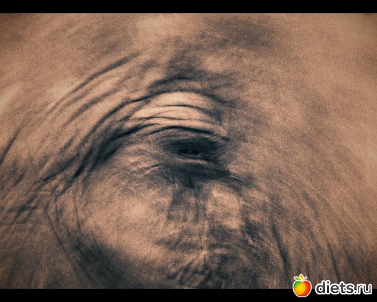 149 фото: "Ashes and Snow" / "Пепел и снег" by Gregory Colbert