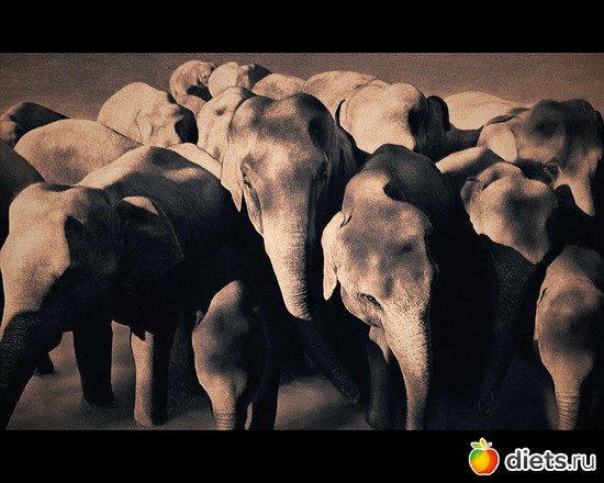 150 фото: "Ashes and Snow" / "Пепел и снег" by Gregory Colbert