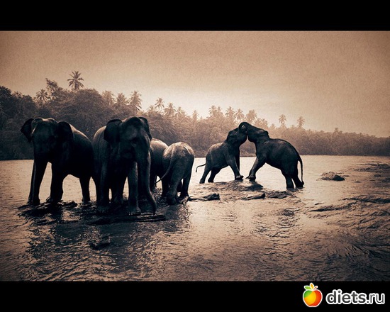 153 фото: "Ashes and Snow" / "Пепел и снег" by Gregory Colbert