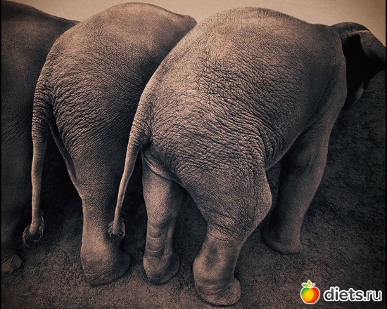 155 фото: "Ashes and Snow" / "Пепел и снег" by Gregory Colbert