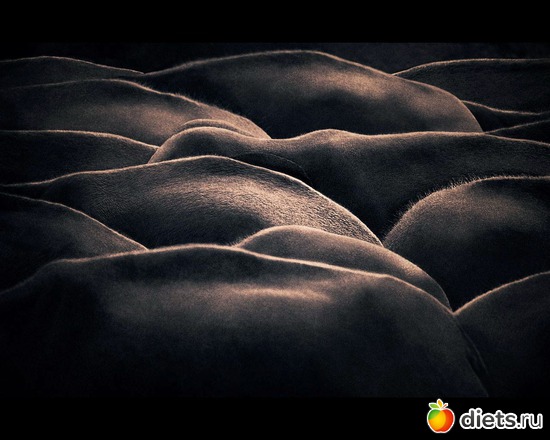 156 фото: "Ashes and Snow" / "Пепел и снег" by Gregory Colbert