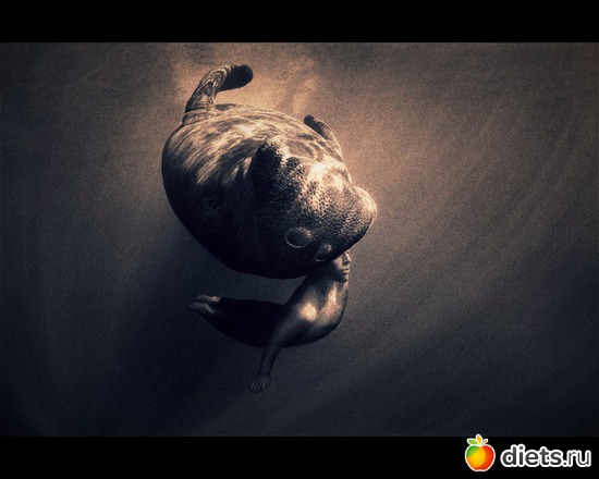 166 фото: "Ashes and Snow" / "Пепел и снег" by Gregory Colbert