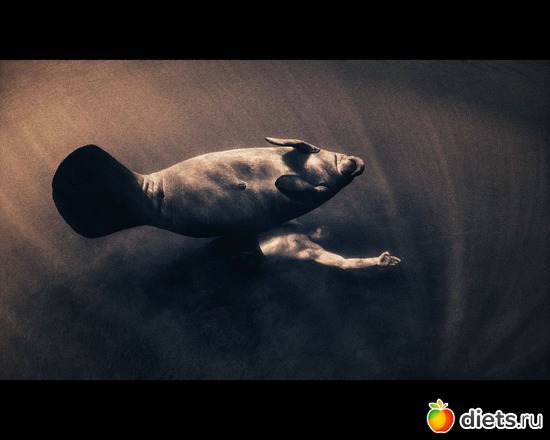 168 фото: "Ashes and Snow" / "Пепел и снег" by Gregory Colbert