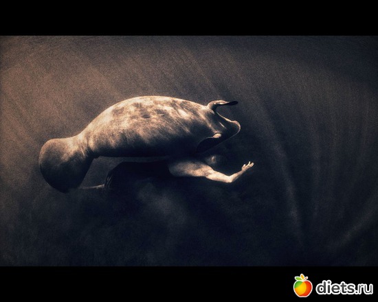 169 фото: "Ashes and Snow" / "Пепел и снег" by Gregory Colbert