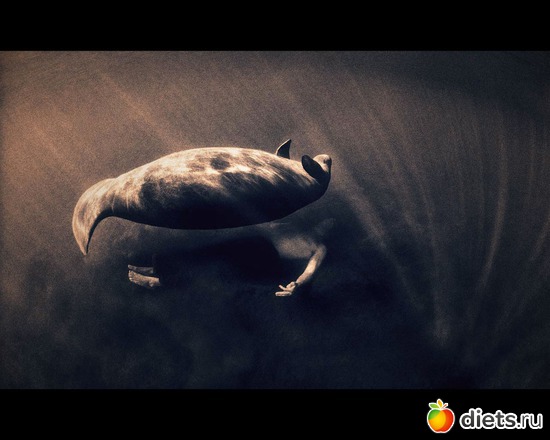 170 фото: "Ashes and Snow" / "Пепел и снег" by Gregory Colbert