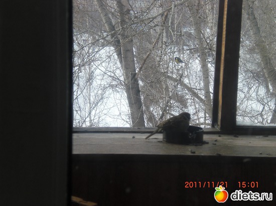 7 фото: разное-интересное)