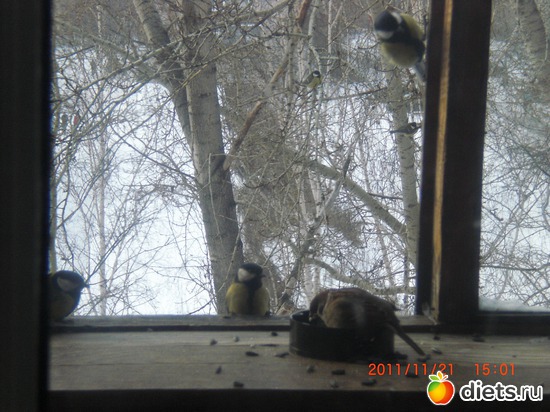 9 фото: разное-интересное)