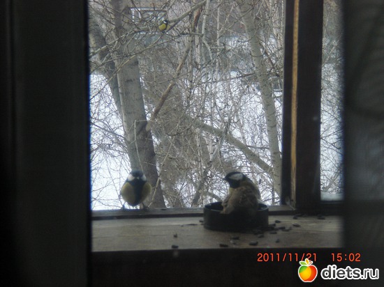 10 фото: разное-интересное)